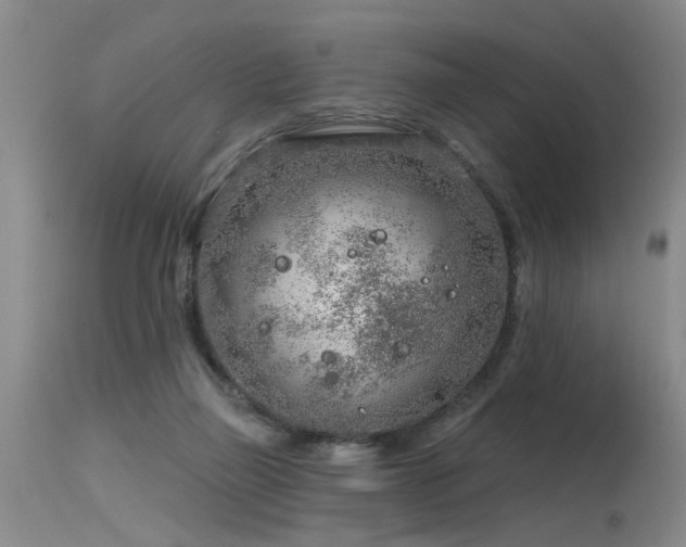 X0000115630165200911101445