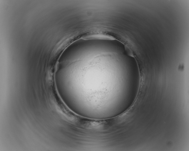 X0000115630166200911101445