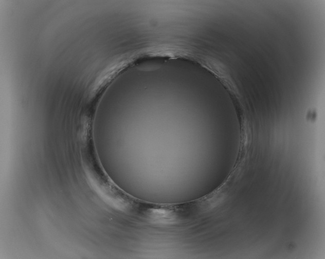 X0000115630167200911101445