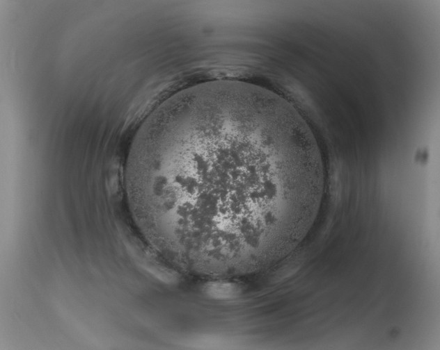 X0000115630169200911101445