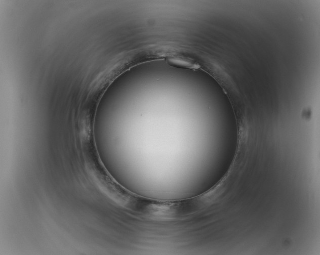 X0000115630170200911101445