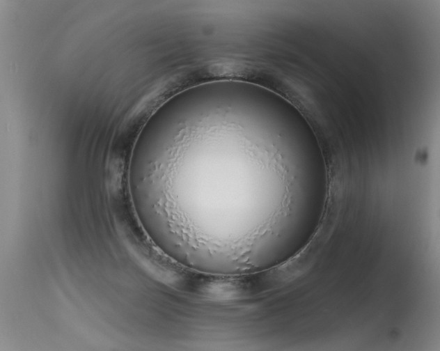 X0000115630171200911101445