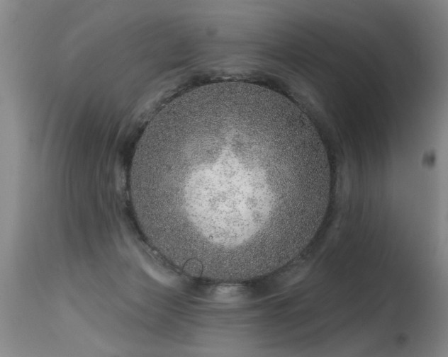 X0000115630173200911101446
