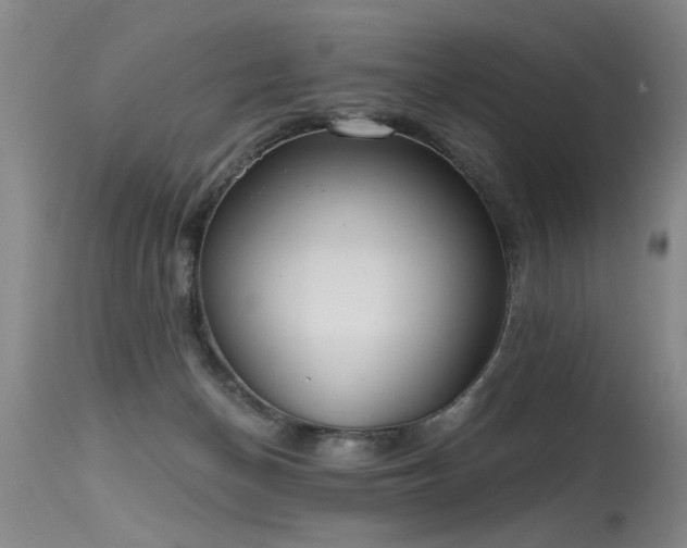 X0000115630174200911101446
