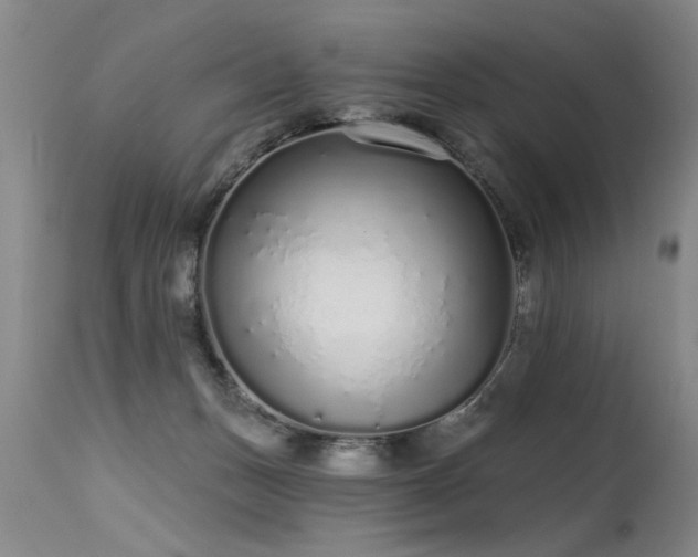 X0000115630175200911101446