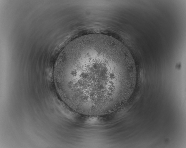 X0000115630177200911101446