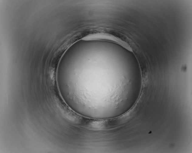 X0000115630178200911101446