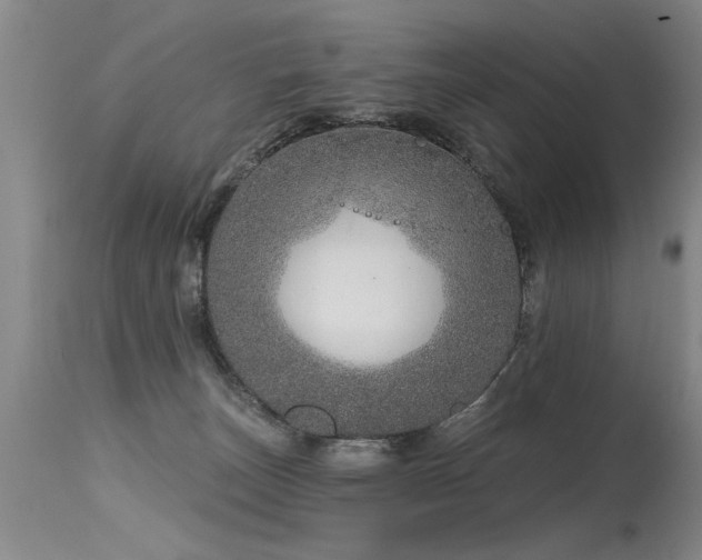 X0000115630179200911101446