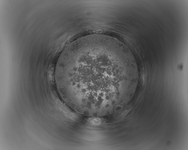 X0000115630181200911101446