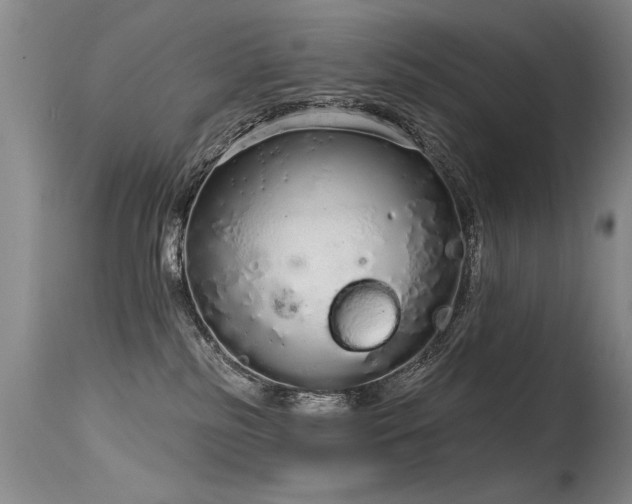 X0000115630185200911101446