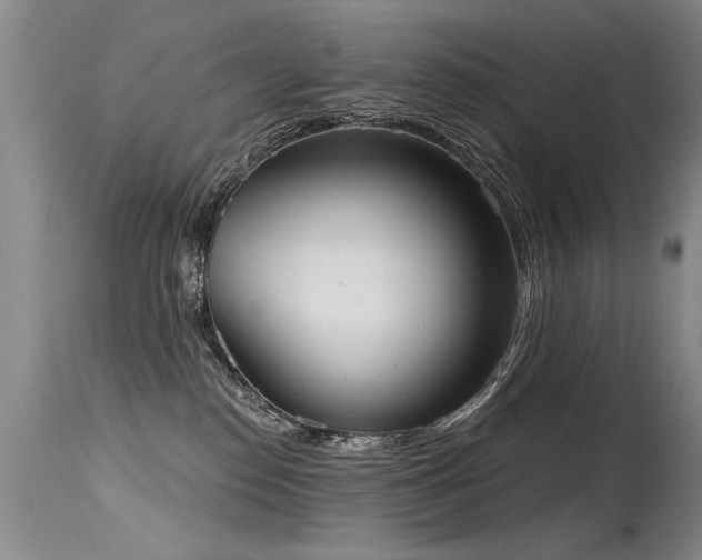 X0000115630186200911101446