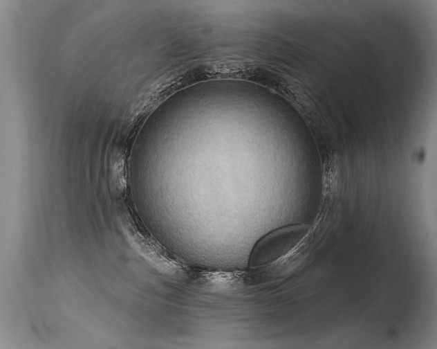 X0000115630187200911101446