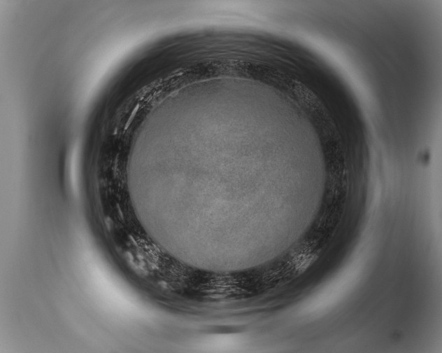 X0000115630189200911101446