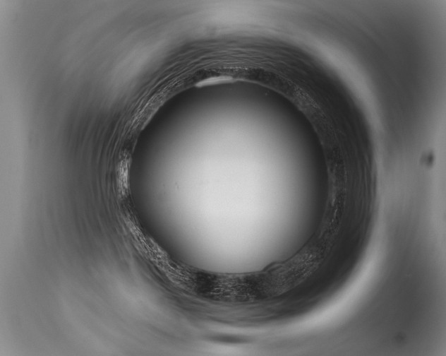X0000115630190200911101446