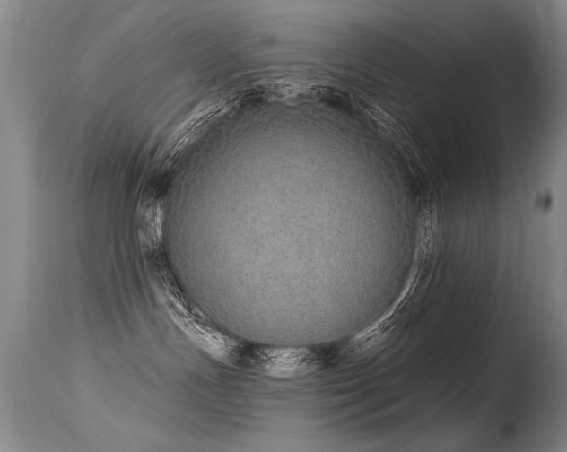 X0000115630191200911101446