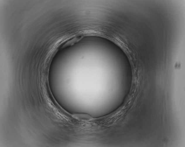 X0000115630193200911101445