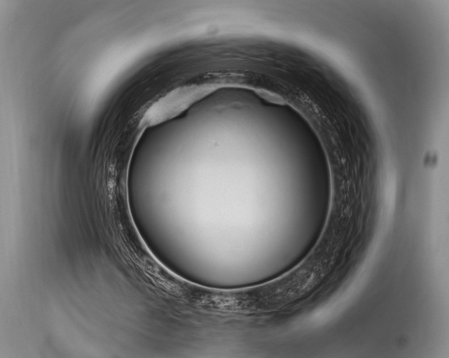 X0000115630194200911101445