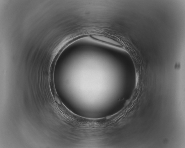 X0000115630195200911101445