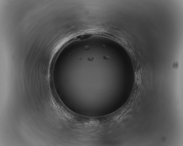 X0000115630196200911101445