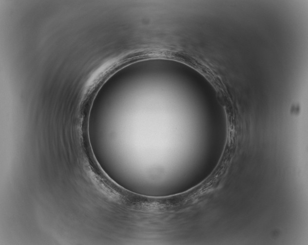 X0000115630197200911101445
