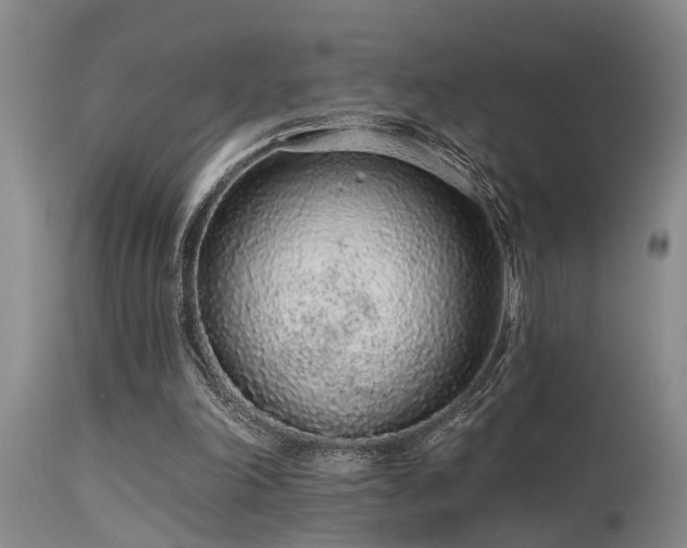 X0000115630198200911101445