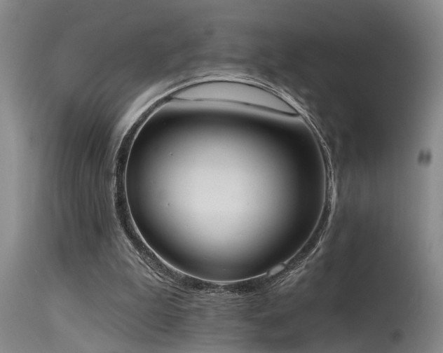 X0000115630199200911101445