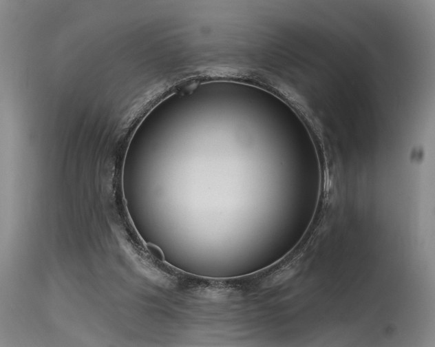 X0000115630201200911101445