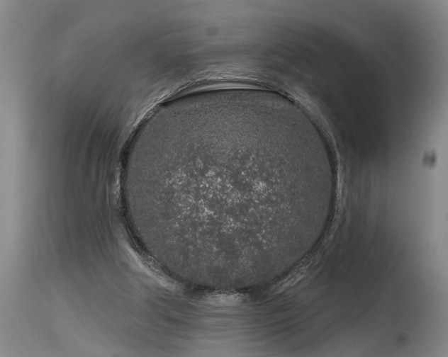 X0000115630202200911101445