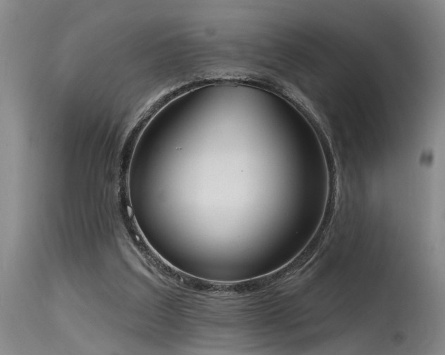X0000115630203200911101445