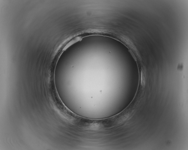 X0000115630204200911101445