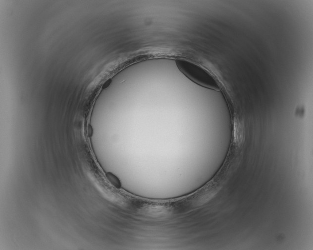 X0000115630205200911101445