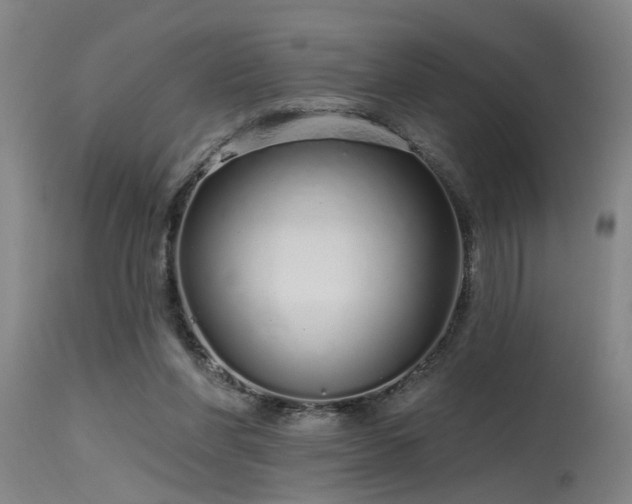 X0000115630206200911101445