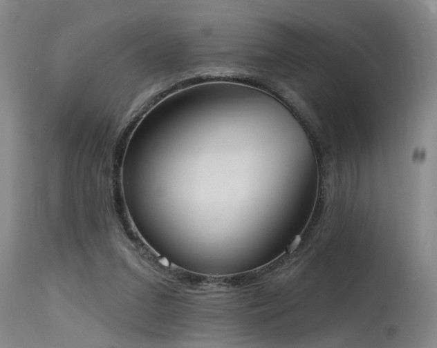 X0000115630207200911101445