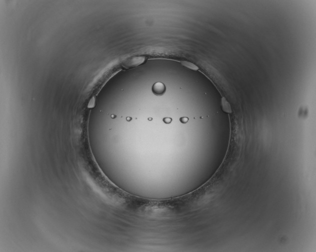 X0000115630208200911101445