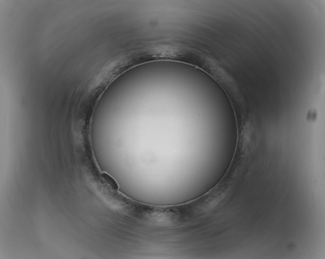 X0000115630209200911101445
