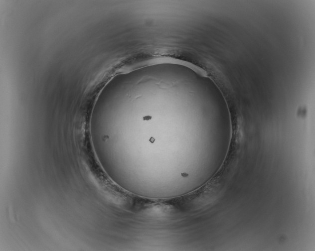 X0000115630210200911101445