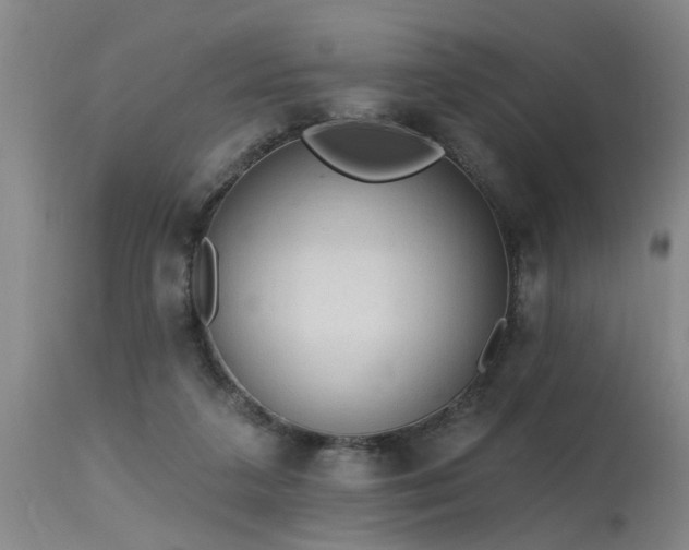 X0000115630211200911101445