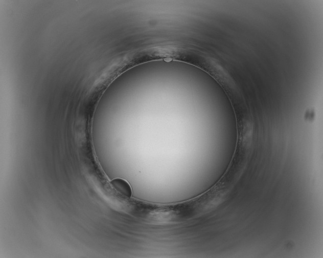 X0000115630213200911101445