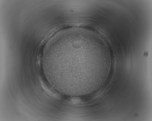 X0000115630214200911101445