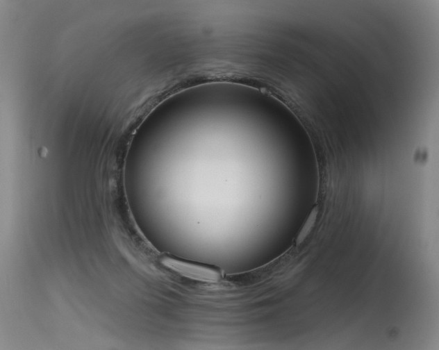 X0000115630215200911101445