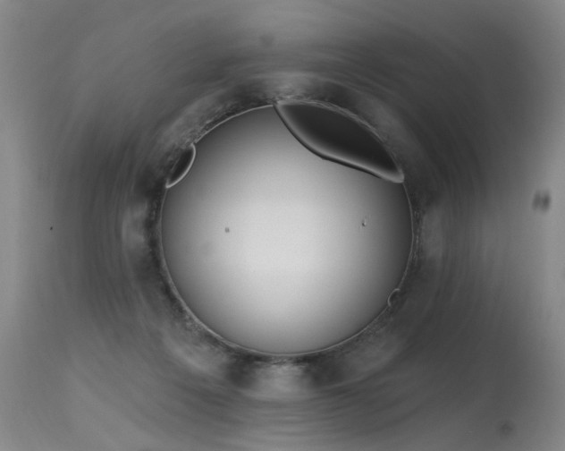 X0000115630217200911101445