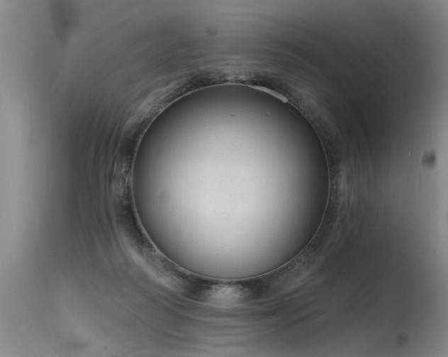 X0000115630218200911101445