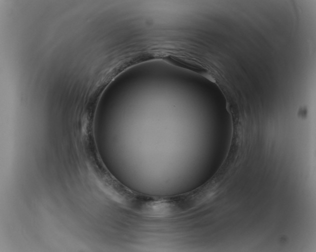 X0000115630219200911101445