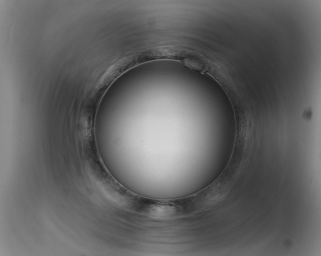 X0000115630220200911101445