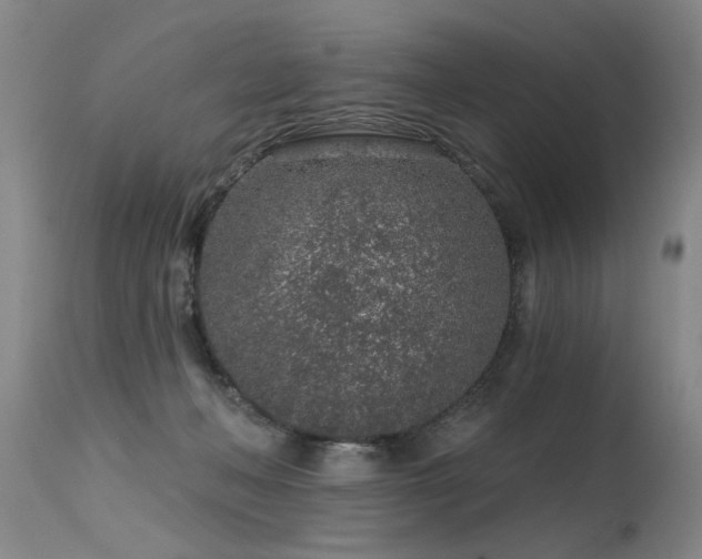 X0000115630222200911101445