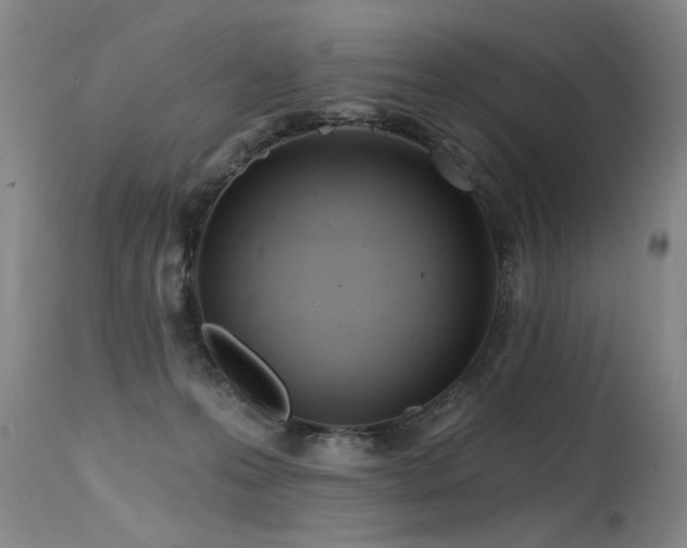 X0000115630223200911101445