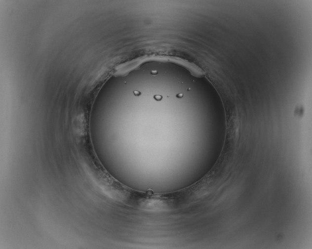 X0000115630224200911101445