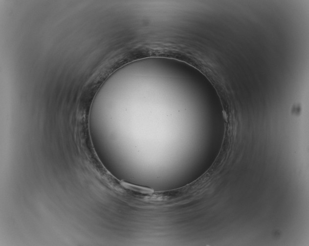 X0000115630225200911101445