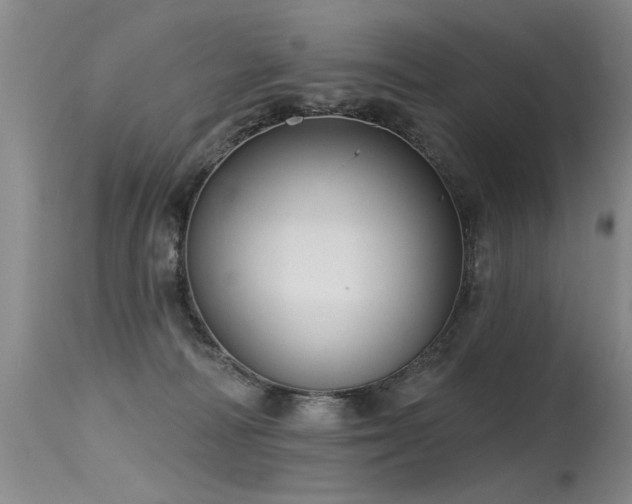 X0000115630226200911101445