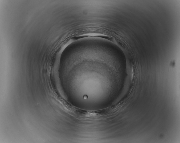 X0000115630227200911101445